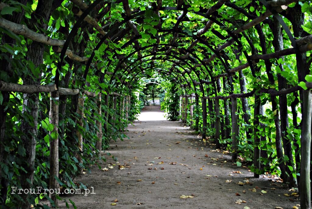 Poczdam, Sanssouci, ogród, pergola, romantyczny ogród