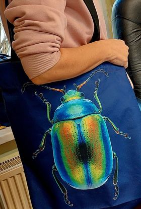 Torba Halina