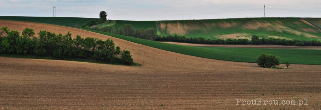 Pejzaż Moraw Południowych