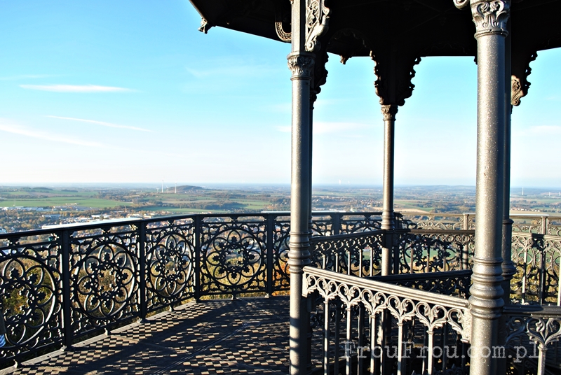 Pejzaż z wieży widokowej w Lobau