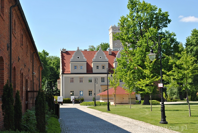 Zamek Topacz