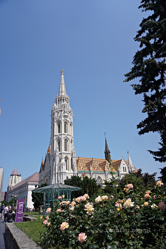 Widok z ulicy na kościół św. Macieja w Budapeszcie