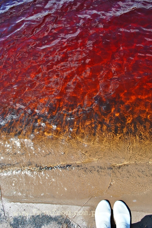 Czerwona woda w kolorowym jeziorku