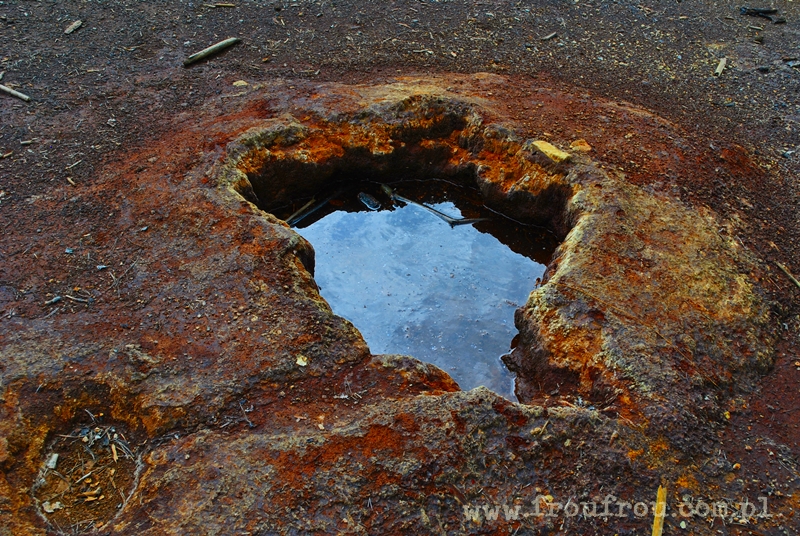 Bulgoczące źródło