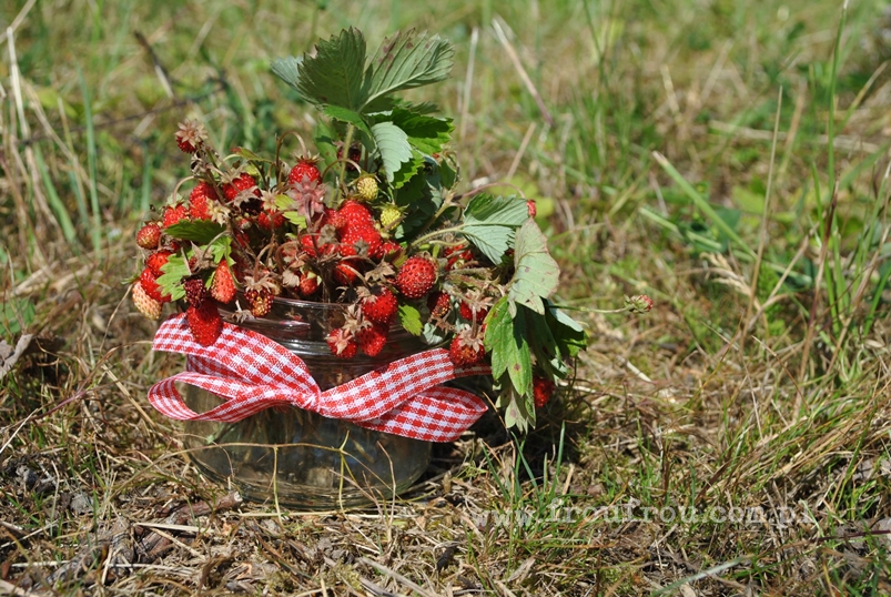 Poziomki w słoiczku
