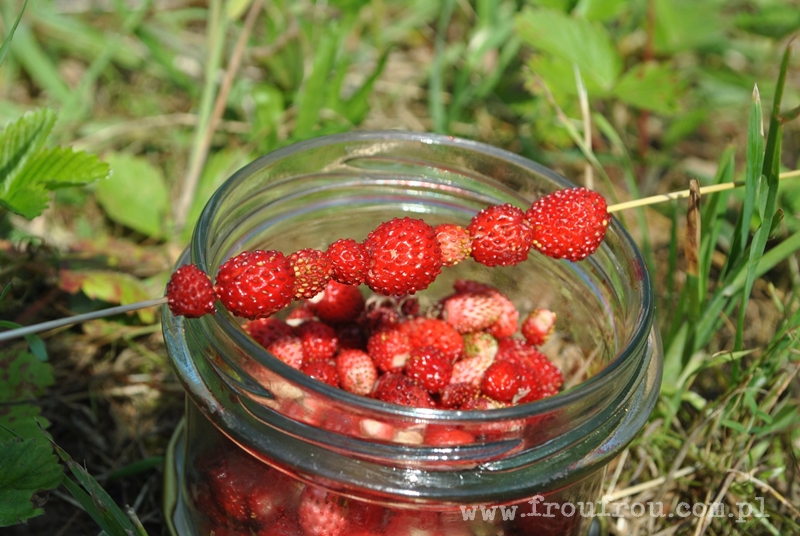 Poziomki na trawce i w słoiku