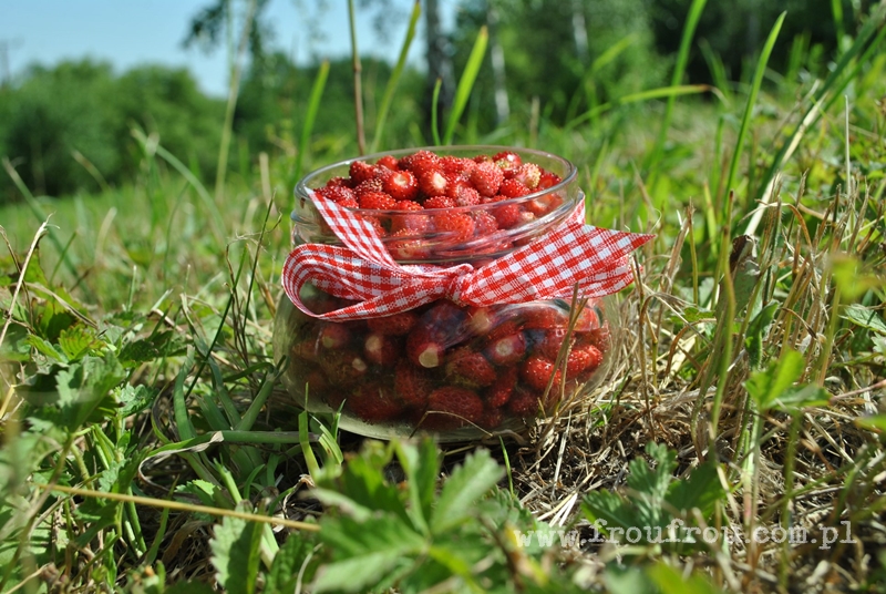 Poziomki w słoiczku