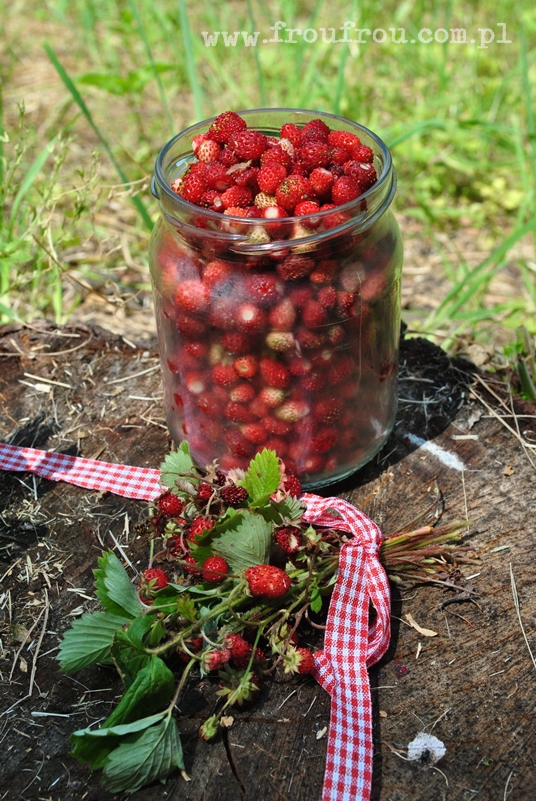 Poziomki leśne w słoiku