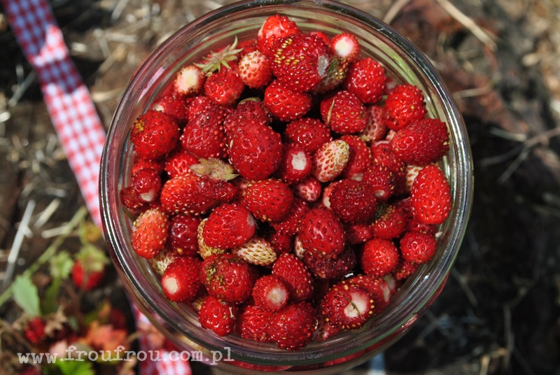 Poziomki w słoiczku