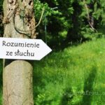 Ruzmienie ze słuchu