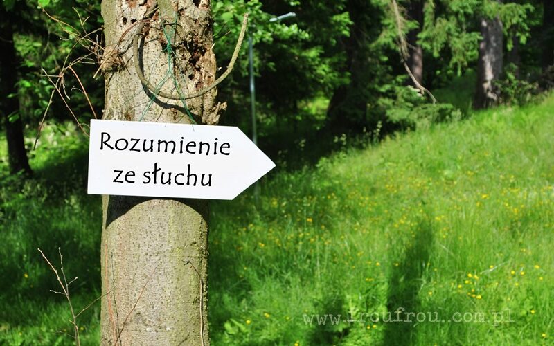 Ruzmienie ze słuchu