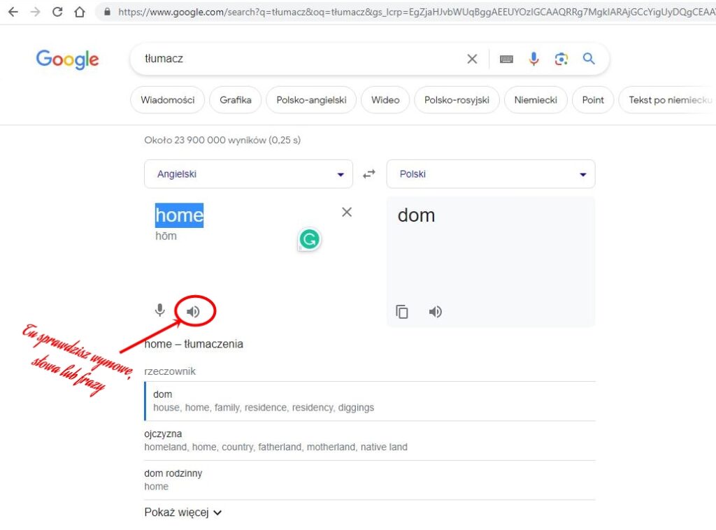 Widok strony tłumacza google