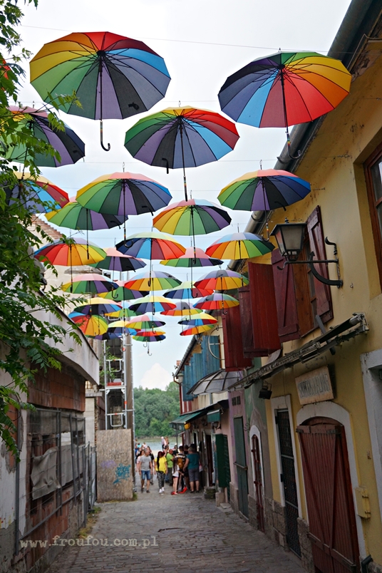 Kolorowe parasole w Szentendre