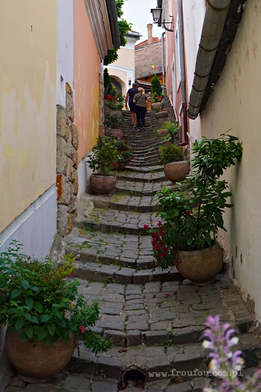 Kręta uliczka w Szentendre