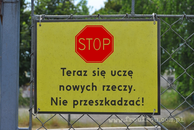 Motywacja: teraz się uczę nowych rzeczy