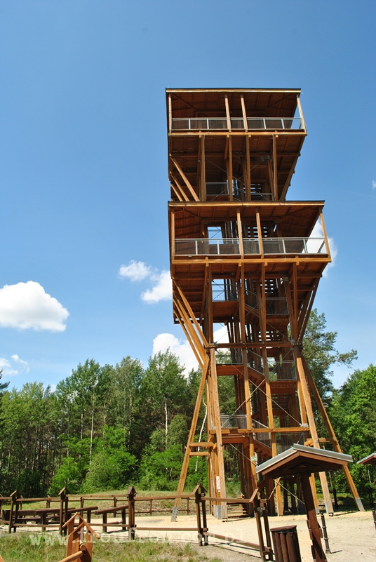 Wieża widokowa w geoparku Łuk Mużakowa