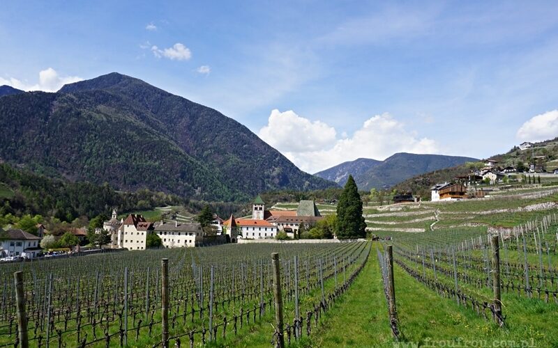 Abbazia di Novacella - widok od winnic