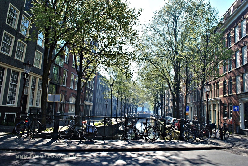Amsterdam o poranku