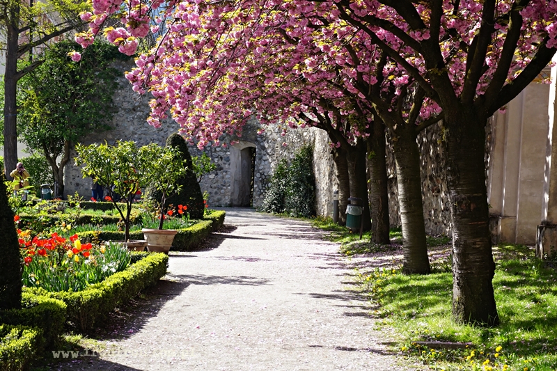 Kwitnące ogrody Herrengarten, Bressanone