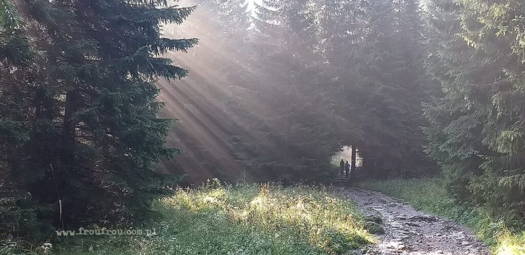 Dolina Jaworzynki w Tatrach Polskich