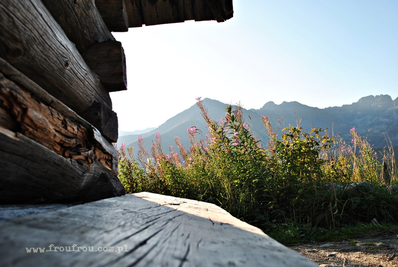 Poranek na Hali Gąsienicowej