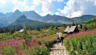 Hala Gąsienicowa w sierpniu w kwitnącą wierzbówką kiprzycą