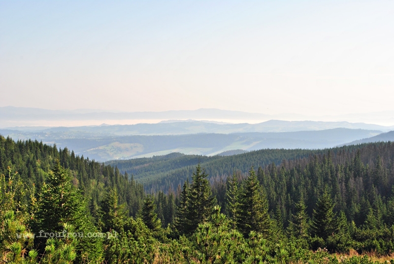 Hala Gąsienicowa - widok z niebieskiego szlaku