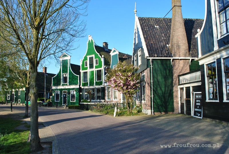 Zaanse Schans w Zandam