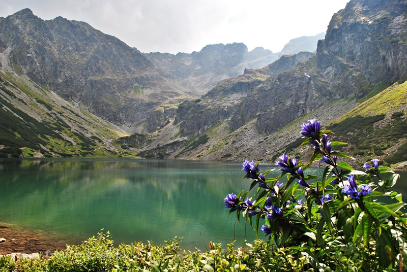 Czarny  Staw Gąsienicowy