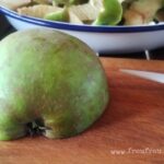 Jabłka odmiany szara reneta