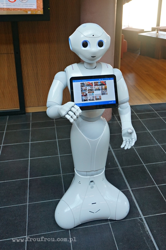 Robot w bibliotece w Wildau