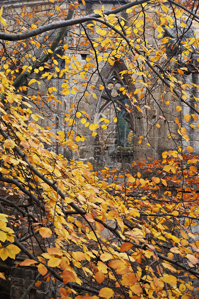 Oybin - romantyczne okna