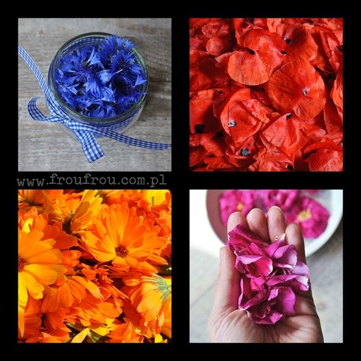 Surowce na domowy ocet