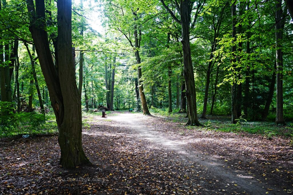 Park wokół pałacu w Miliczu