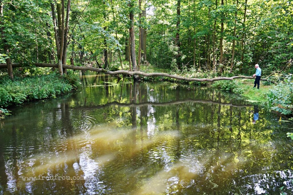 Stara Barycz - Stawy Milickie