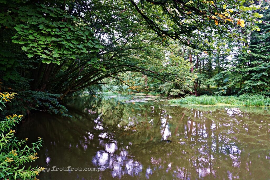 Widok z poostu - Jaz Niezgoda - Stawy Milickie