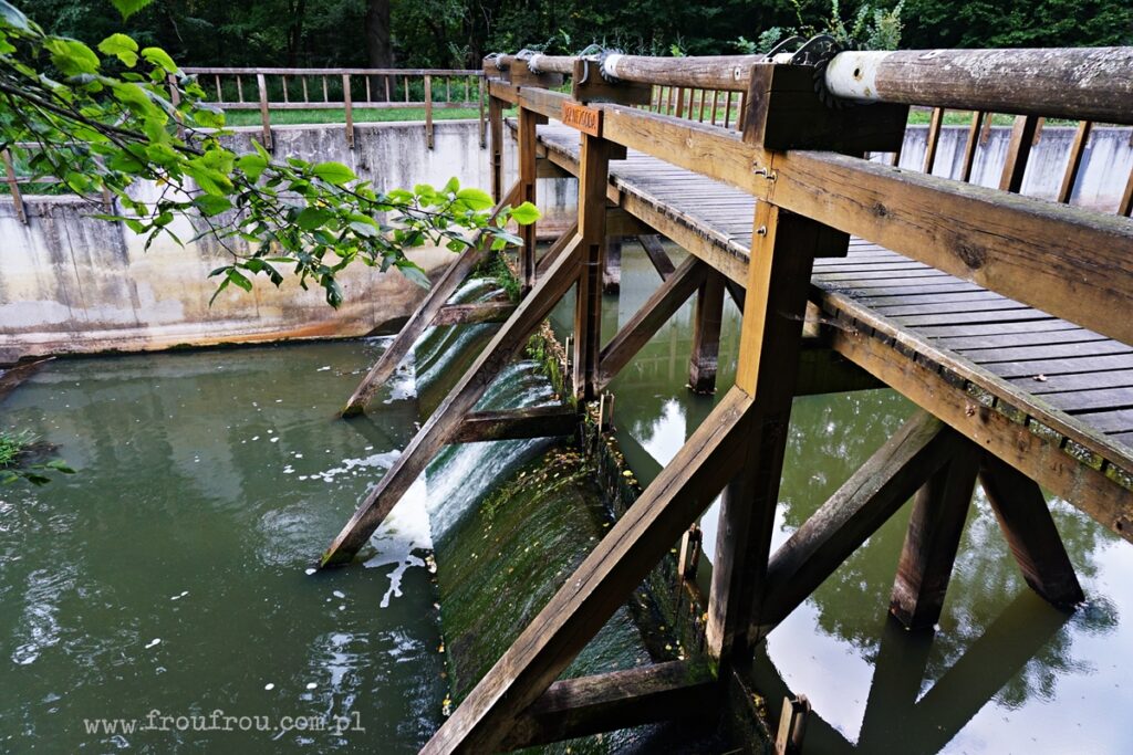 Jaz Niezgoda - Taa Goringa - Stawy Milickie