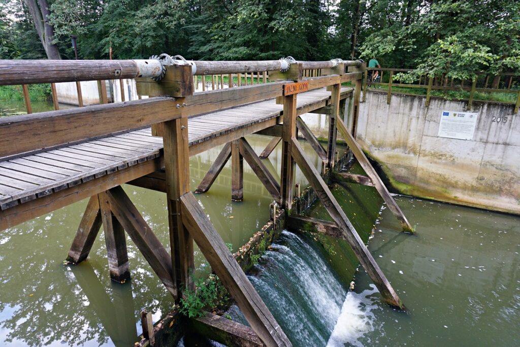 Jaz Niezgoda - Tama  Göringa - Stawy milickie