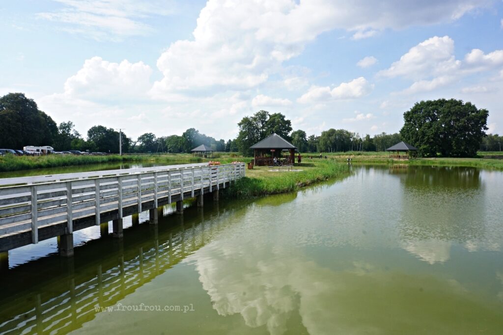 Stawy Milickie - Ruda Sułowska - teren łowisk