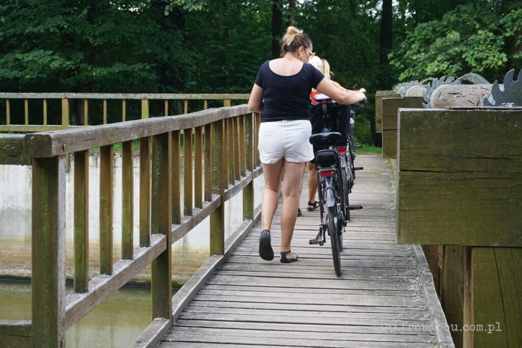 Tama Göringa - Jaz Niezgoda  - Stawy Milickie