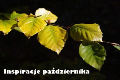 Inspiracje października