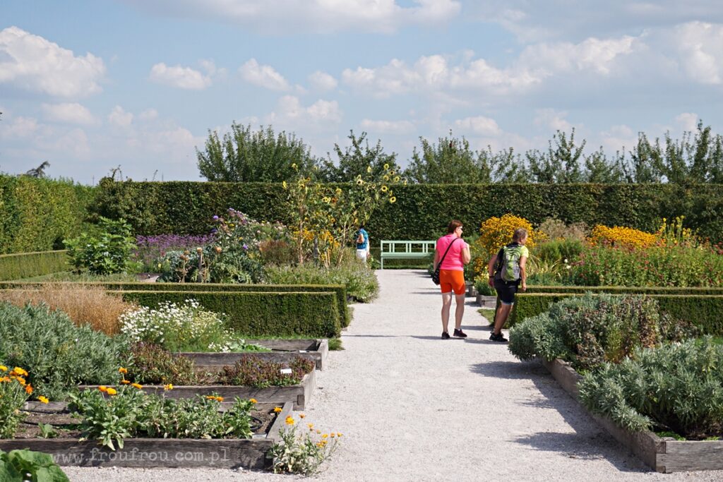 Kuks, ogród ziołowy