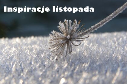 iNSPIRACJE LISTOPADA