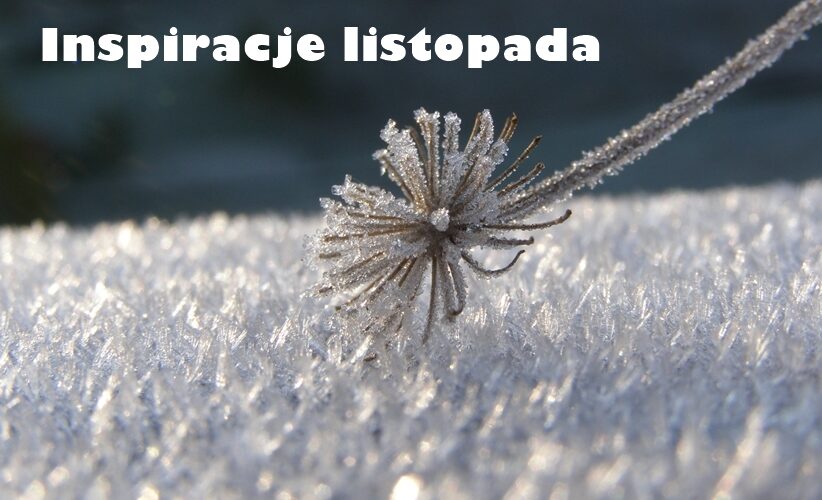 iNSPIRACJE LISTOPADA