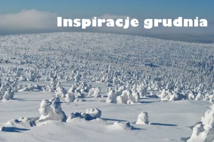 Inspiracje grudnia