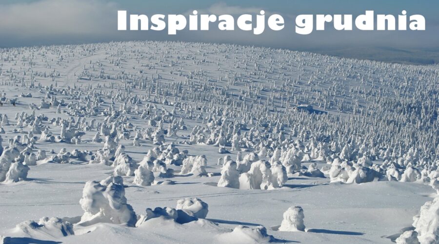 Inspiracje grudnia