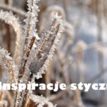 Inspiracje stycznia