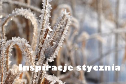 Inspiracje stycznia