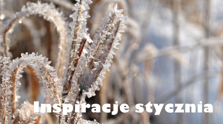 Inspiracje stycznia