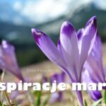 Inspiracje marca